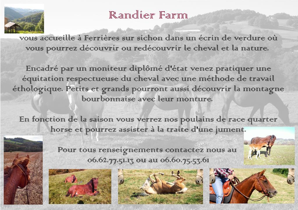 הוילה Ferrières-sur-Sichon Domaine Du Randier מראה חיצוני תמונה